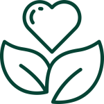 Plan equilibrio y bienestar vegano semanal